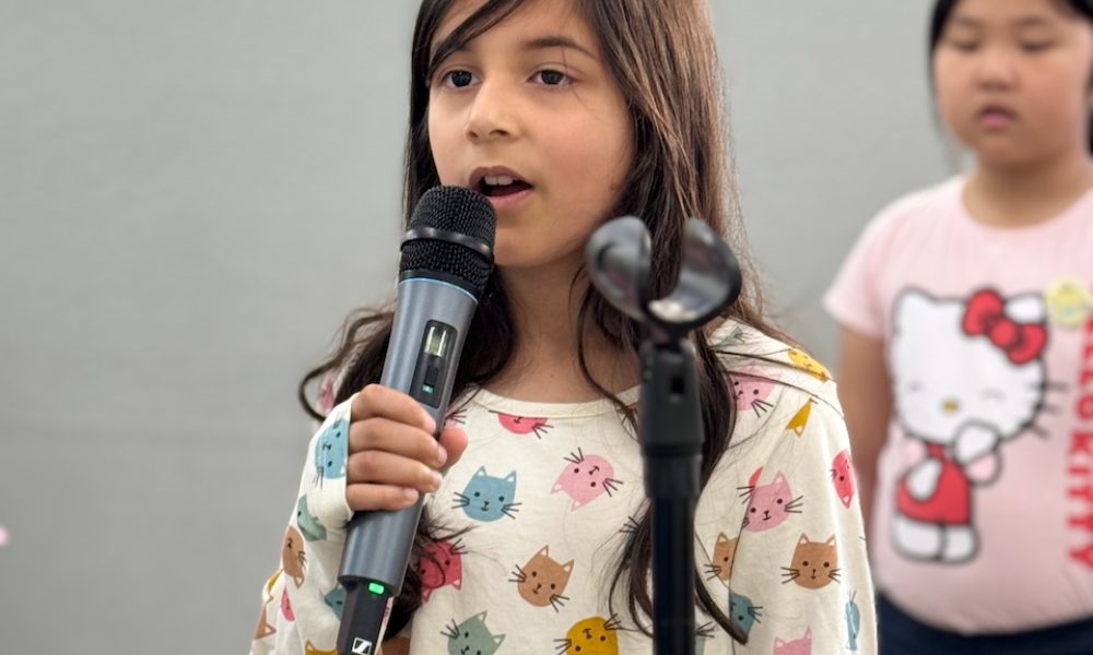 Voice Lessons Voice Lessons - Girl Singing